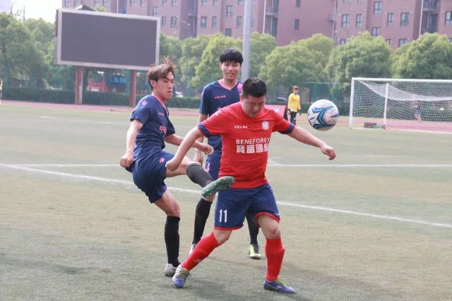 阿马雷·斯塔德迈尔的辉煌职业生涯与荣誉